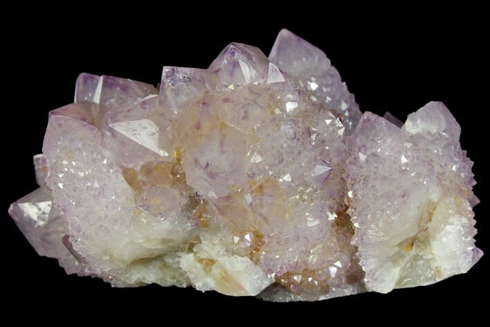 Cactus Quartz (Amethyst) Crystal Cluster - South Africa #132518
